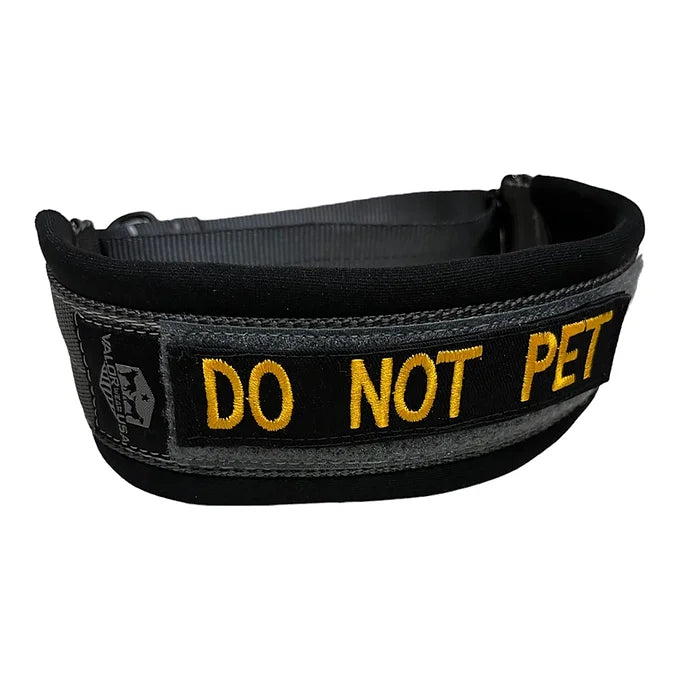 Elite Padded Martingale