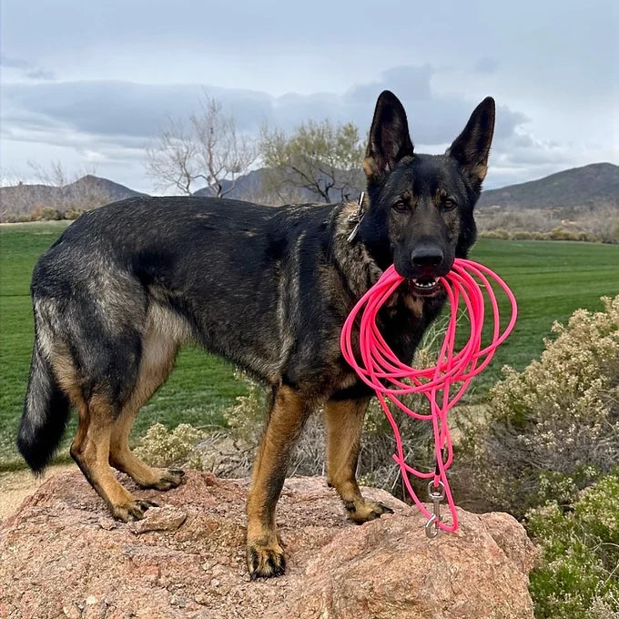 BioThane Rope