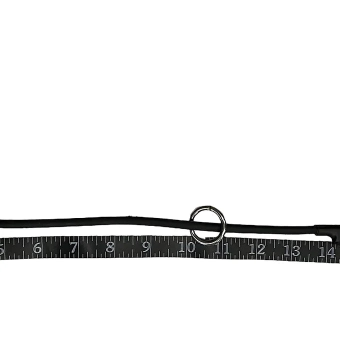"Gus" Dominant Dog Collar- BioThane