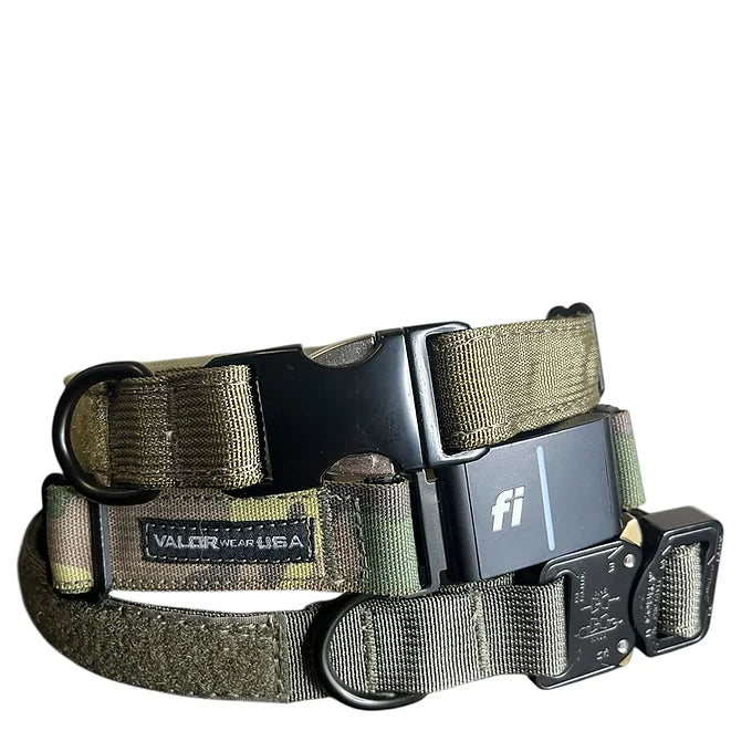 Fi Series 3/3+ 1" Bobcat Collar