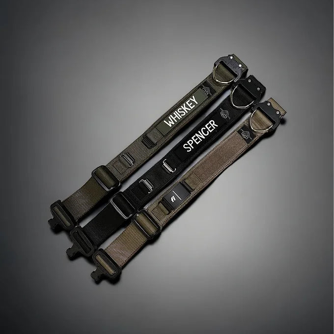 Fi Series 3/3+ Valor Adventure Collar -1.75