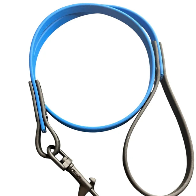 VALOR PET LEASH 6ft