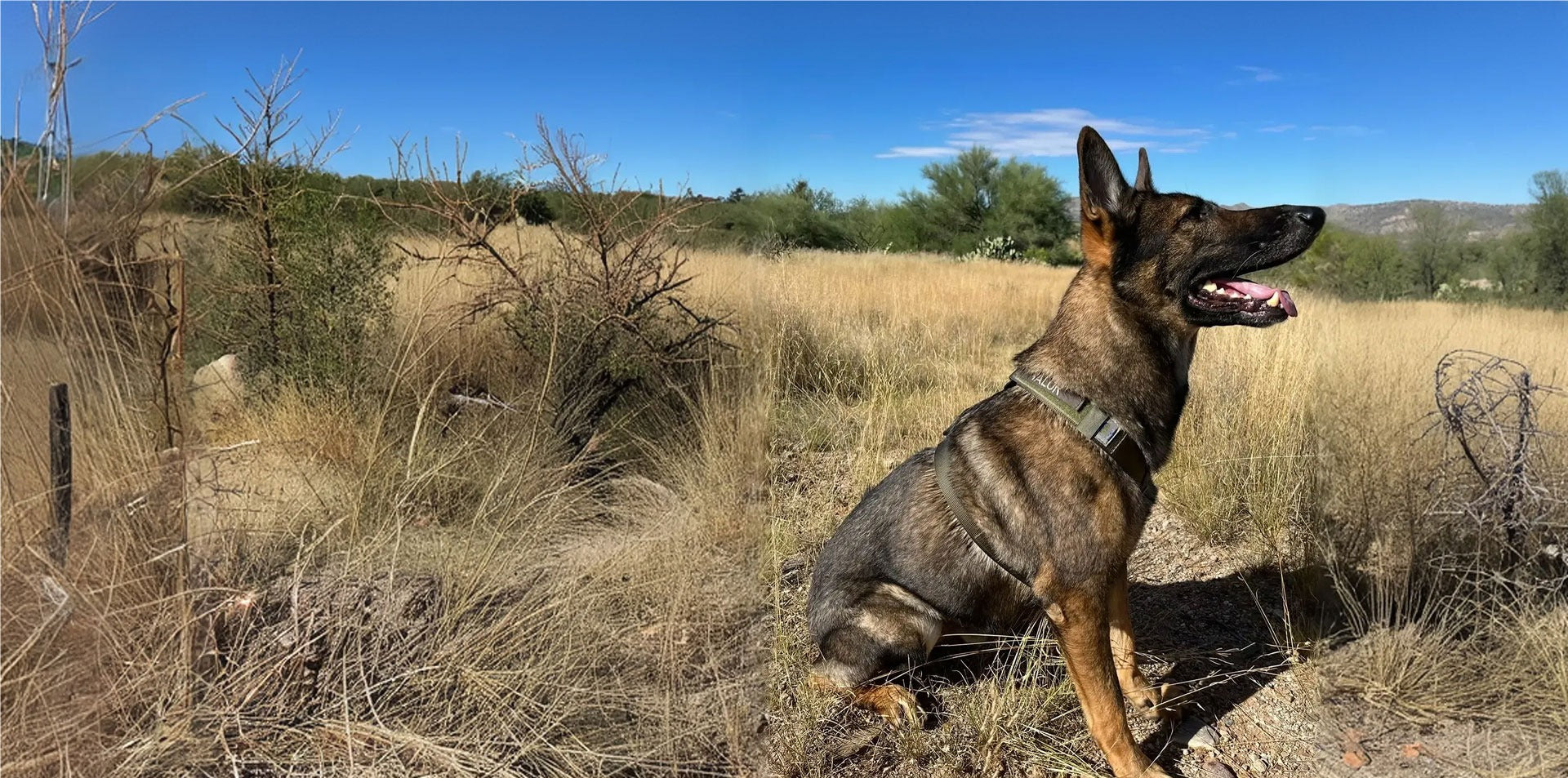 Precision-Built K9 Gear. Trusted in the Field.