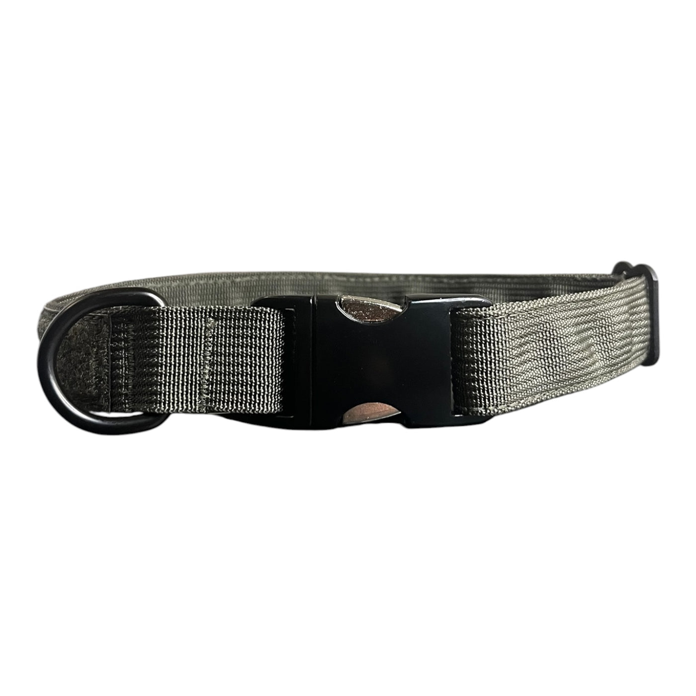 Everyday 1" Light Weight Rigid Collar -Bobcat