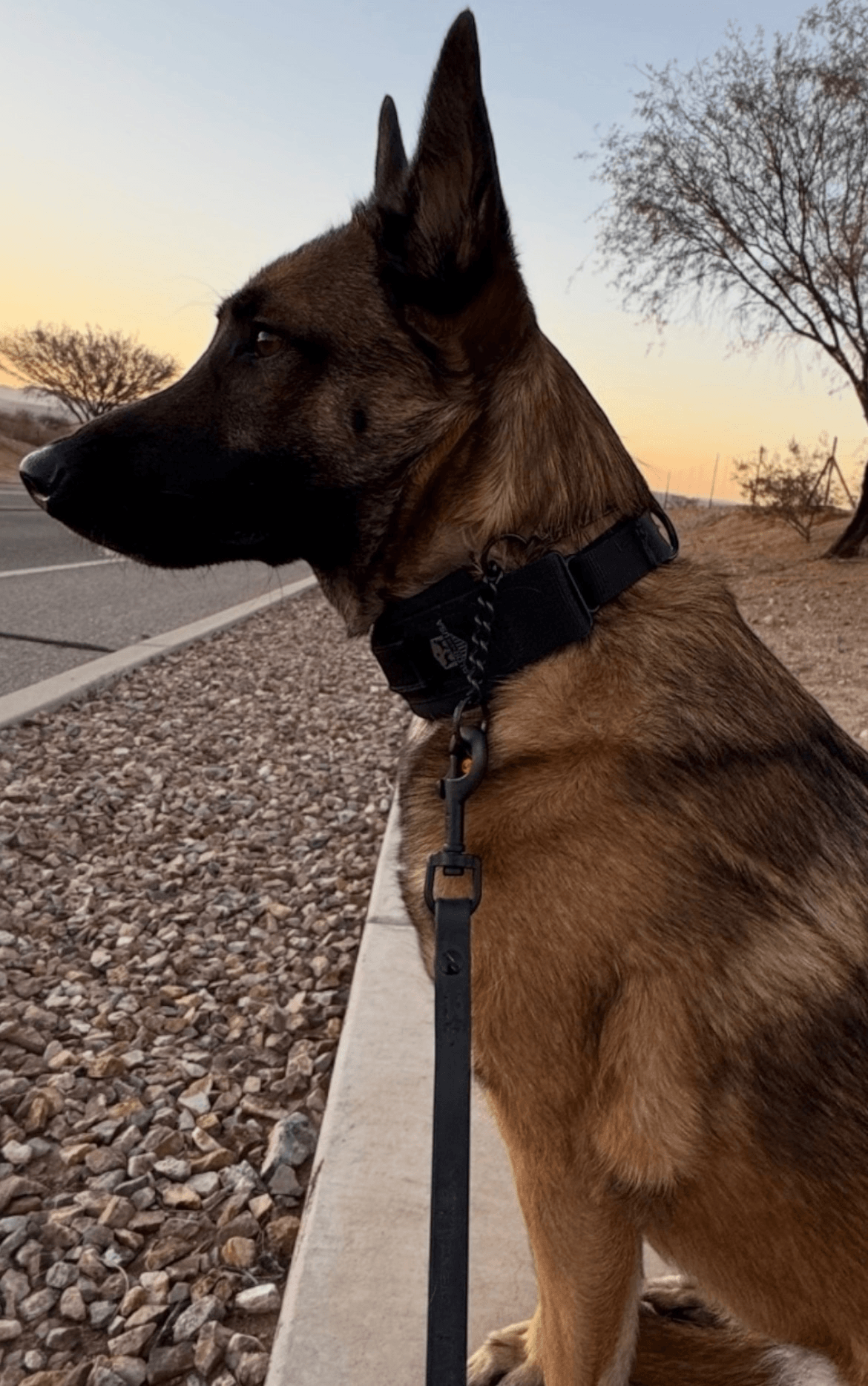 A Lead, Configured the Way Handlers Think.