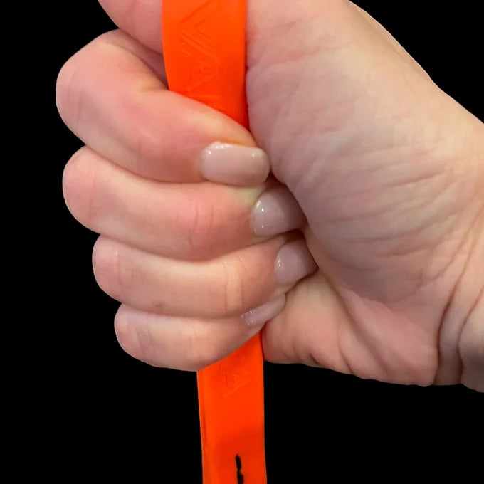 BioThane Slip Lead (BOOF)