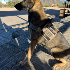 Patriot Elite Harness