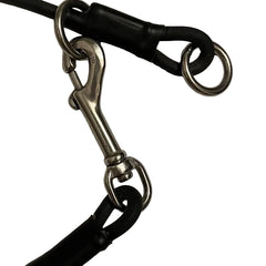 "Gus" Dominant Dog Collar- BioThane