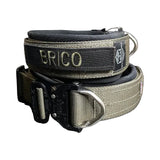 Valor King Padded Collar