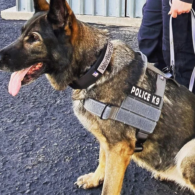 Patriot Elite Harness