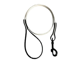 VALOR PET LEASH 6ft