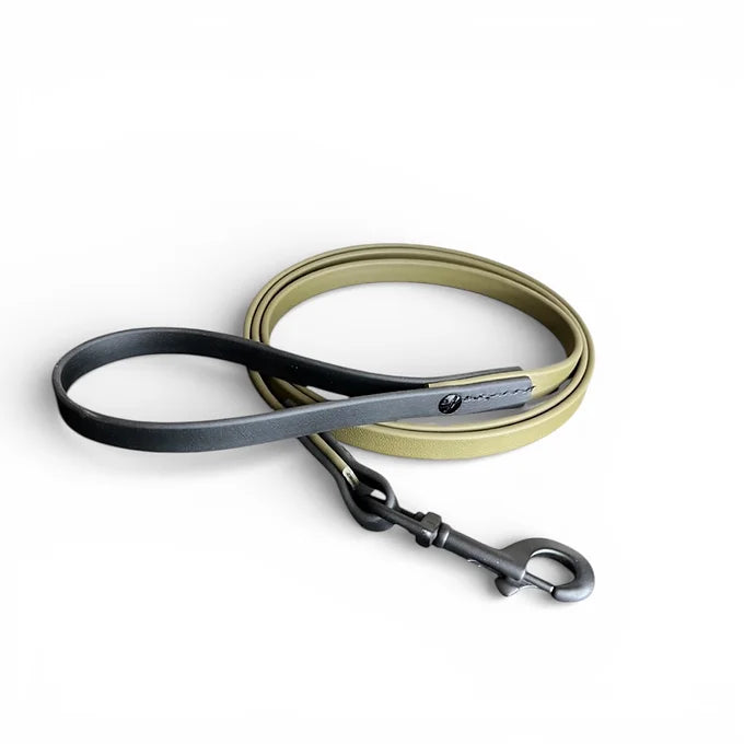 VALOR PET LEASH 6ft