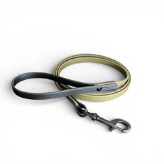 VALOR PET LEASH 6ft