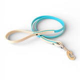 VALOR PET LEASH 6ft