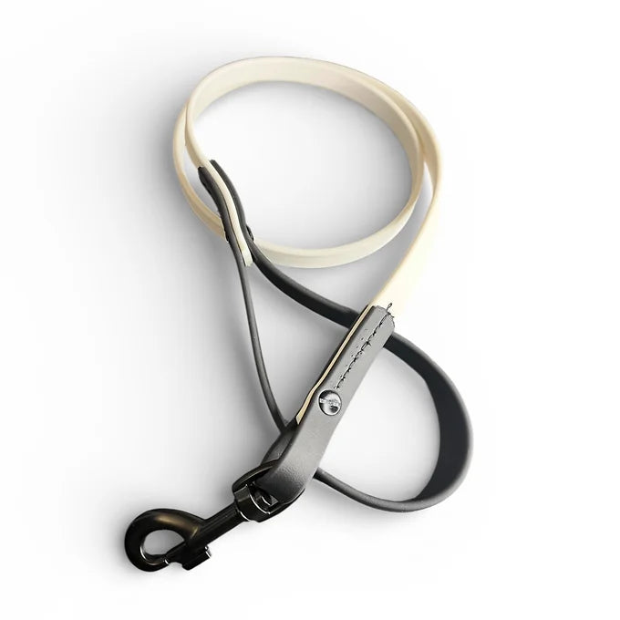 VALOR PET LEASH 6ft