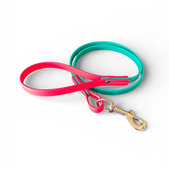 VALOR PET LEASH 6ft