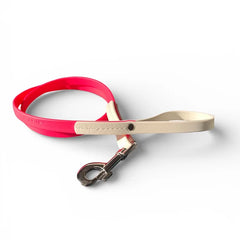 VALOR PET LEASH 6ft