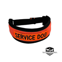 Elite Padded Martingale