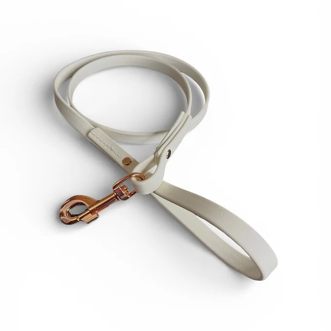 VALOR PET LEASH 4ft