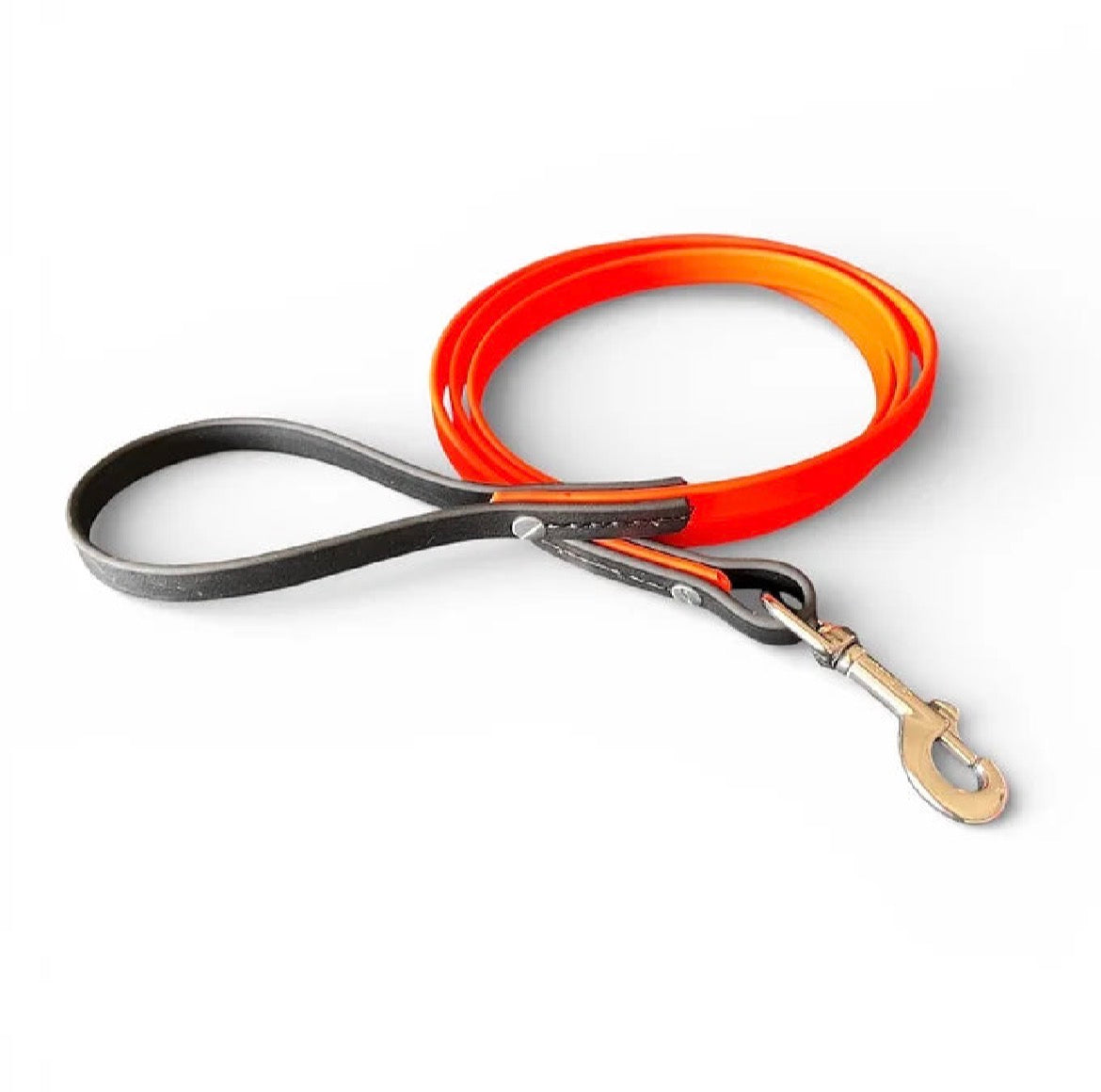 Bespoke dog leash with Chicago screws