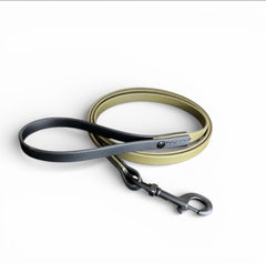 Bespoke dog leash with Chicago screws