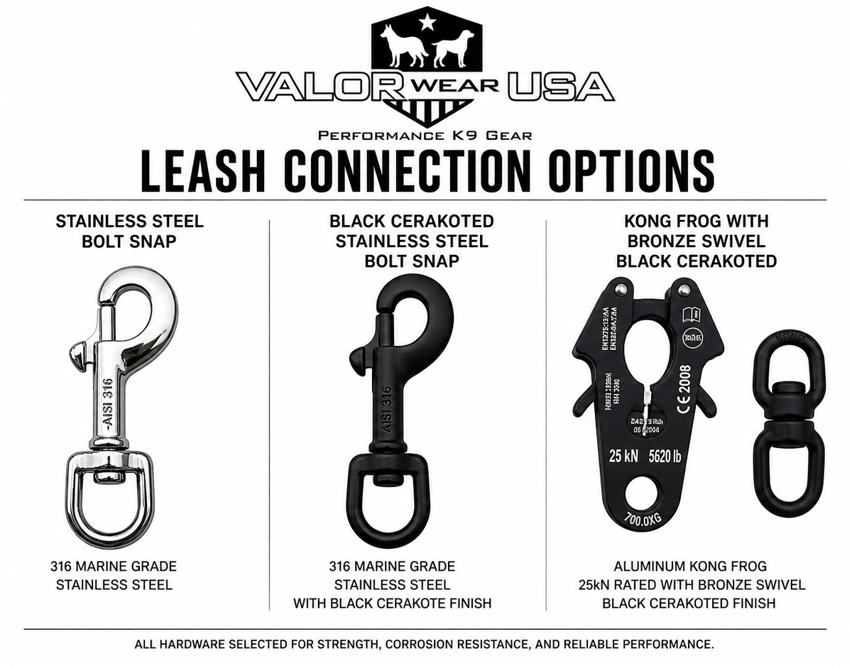 Connection options diagram
