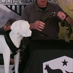 Patriot Everyday Harness